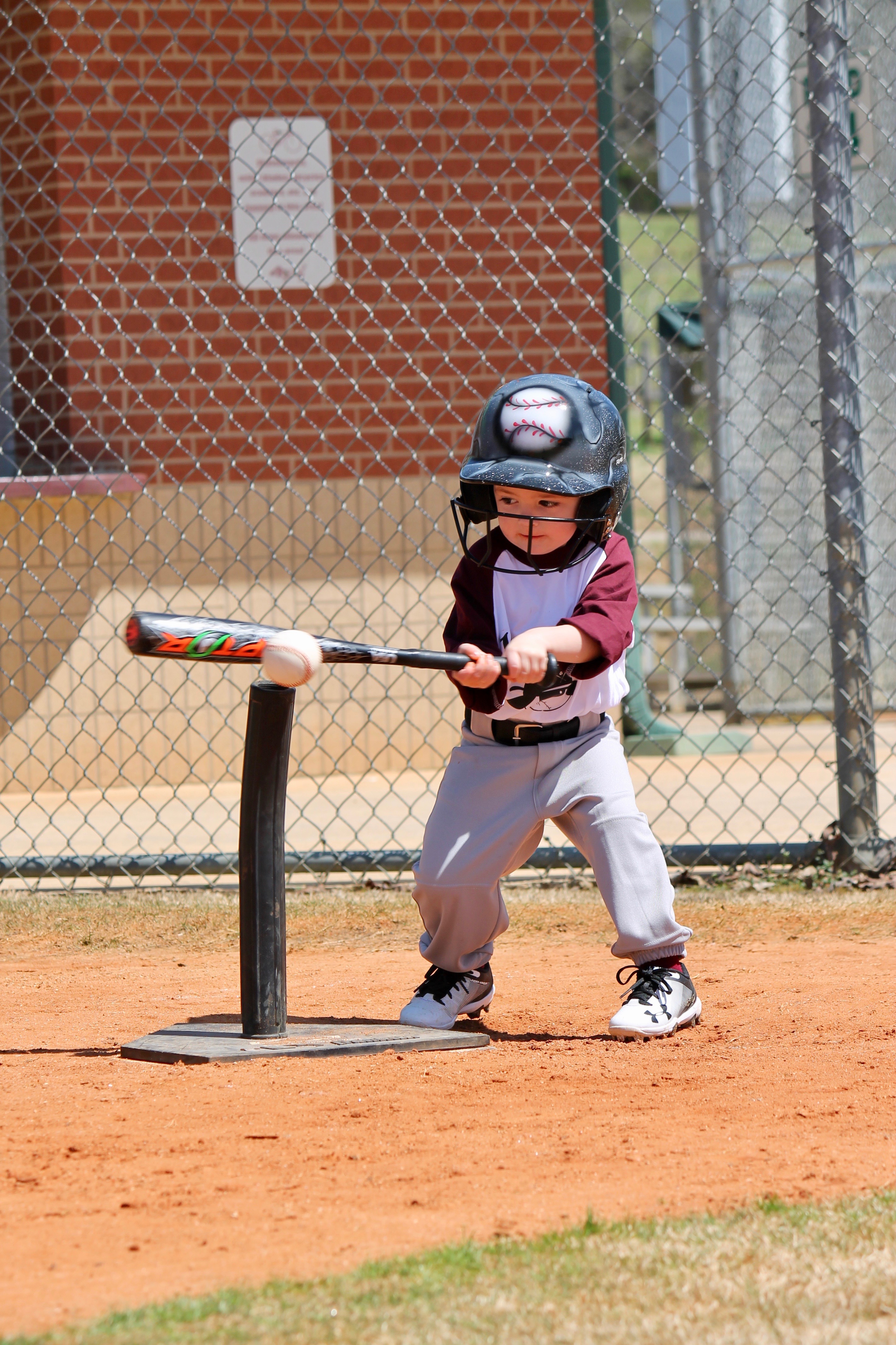 TBALL Dawson County,